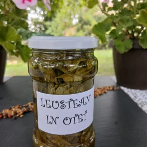 Leustean in otet 314 ml